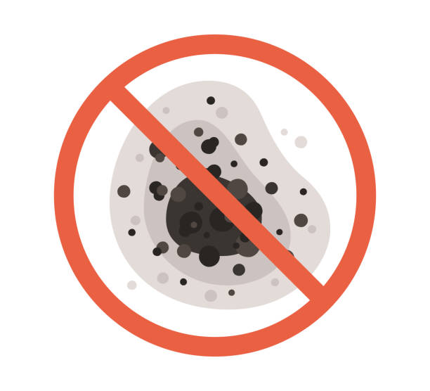 Best Attic Mold Removal  in Bellflower, CA
